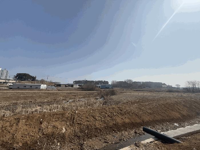 충청남도 당진시 송악읍 중흥리 421 답 경매 사진 17