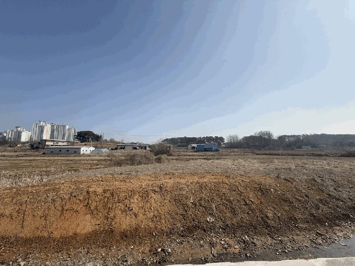 충청남도 당진시 송악읍 중흥리 421 답 경매 사진 2