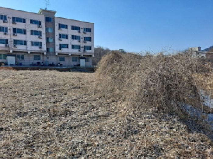 충청남도 당진시 송악읍 중흥리 421 답 경매 사진 8
