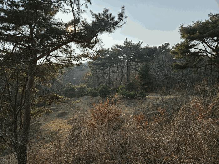 충청남도 태안군 원북면 장대리 560-3 임야 경매 사진 1