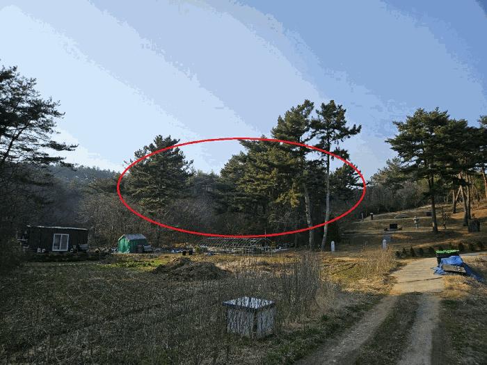 충청남도 태안군 원북면 장대리 560-3 임야 경매 사진 2