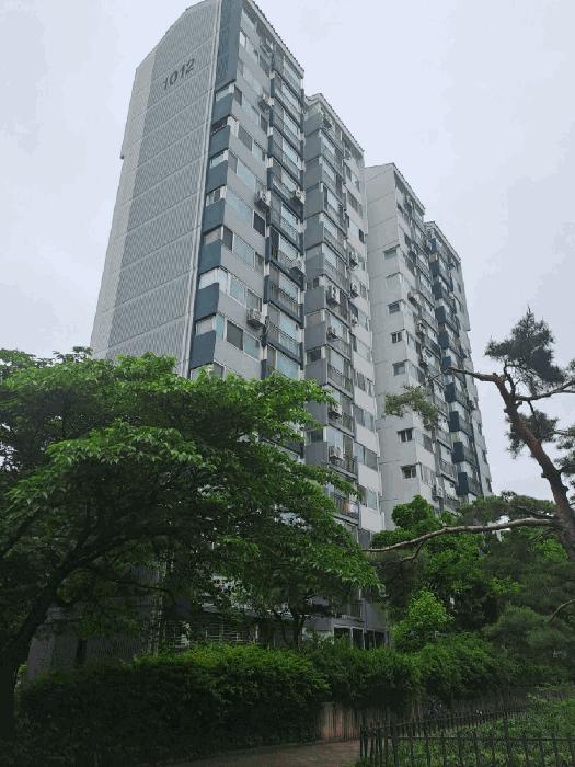 서울특별시 양천구 신정동 310 목동신시가지아파트 제1012동 제11층 제1101호 아파트 경매 사진 1
