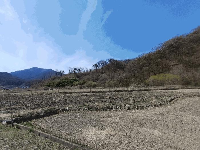 경상북도 김천시 지례면 여배리 434 전 경매 사진 3
