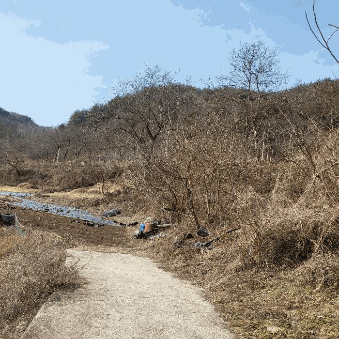 경상북도 김천시 증산면 평촌리 330 전 경매 사진 2