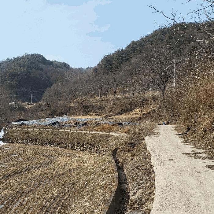 경상북도 김천시 증산면 평촌리 330 전 경매 사진 4