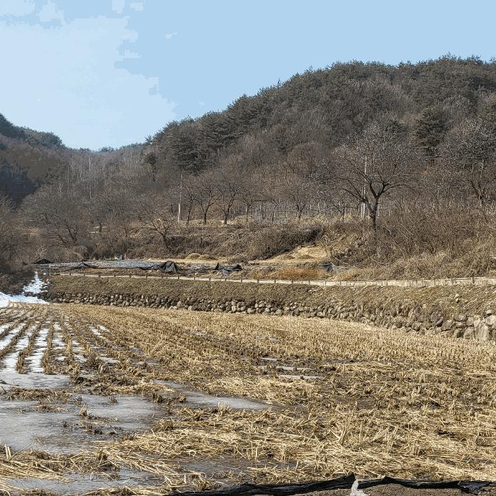 경상북도 김천시 증산면 평촌리 330 전 경매 사진 5