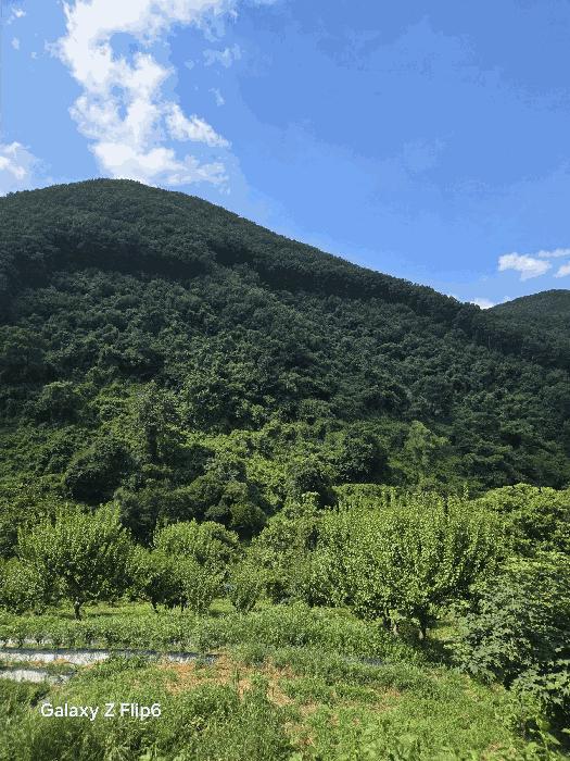 경상남도 의령군 의령읍 하리 산149 임야 경매 사진 2