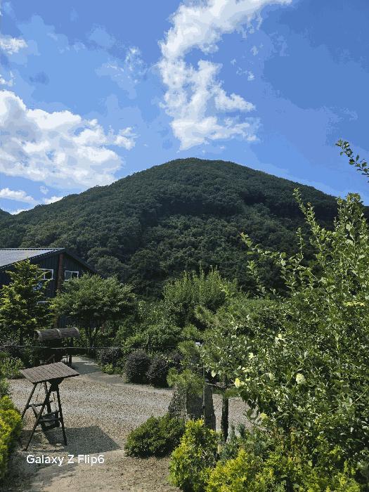 경상남도 의령군 의령읍 하리 산149 임야 경매 사진 6