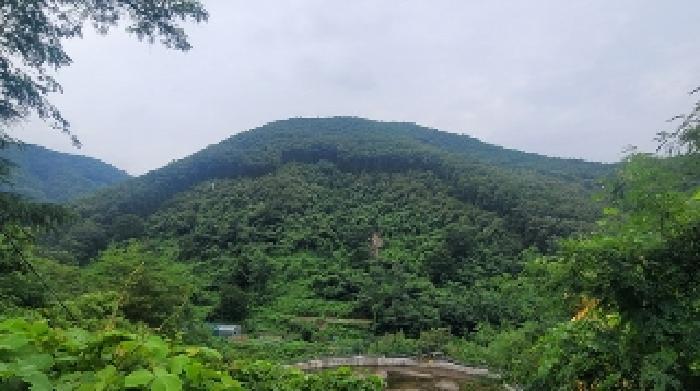경상남도 의령군 의령읍 하리 산149 임야 경매 사진 7