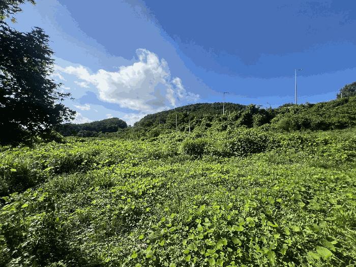 경상남도 창원시 마산합포구 구산면 반동리 27-1 상가 경매 사진 1
