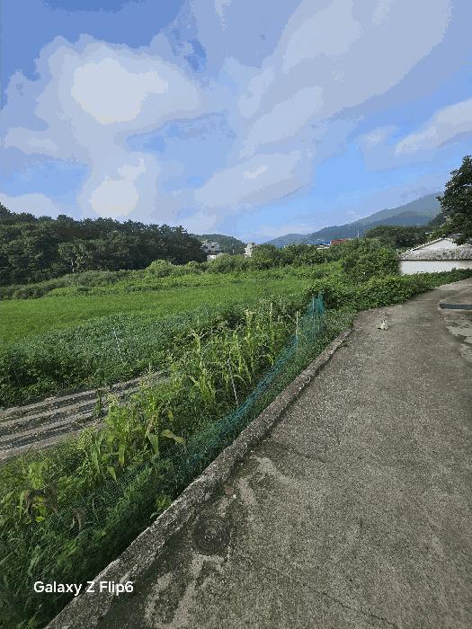 경상남도 창원시 마산합포구 구산면 석곡리 693 답 경매 사진 1