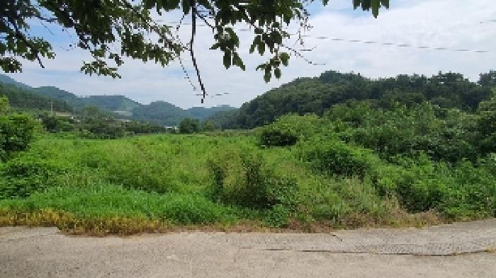 경상남도 창원시 마산합포구 구산면 석곡리 693 답 경매 사진 7