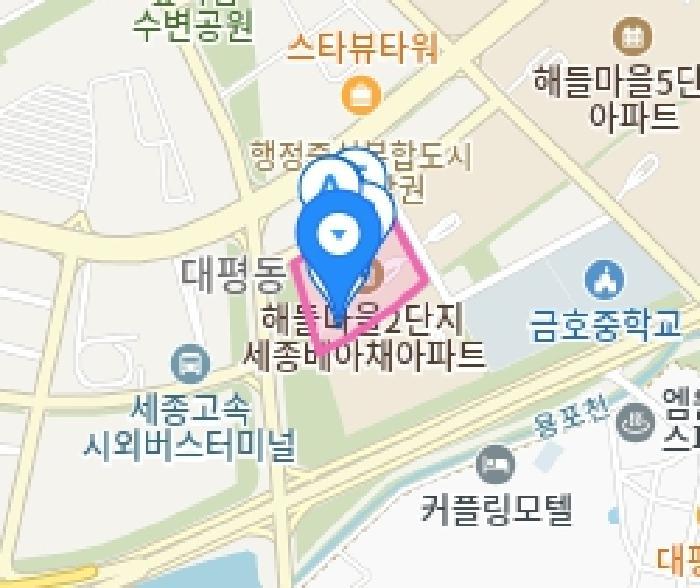 세종특별자치시 대평동 706 해들마을2단지 상가2동 1층127호 근린상가 경매 사진 10