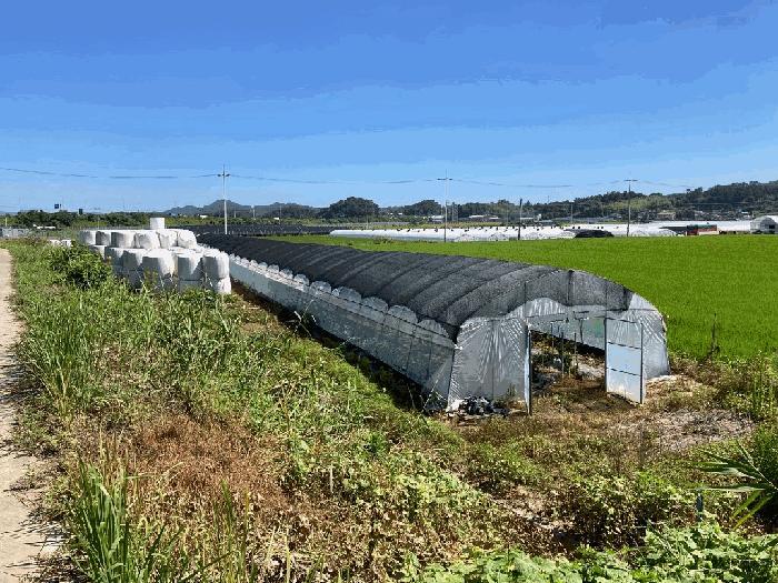경상남도 함안군 군북면 소포리 1611-5 대지 경매 사진 16