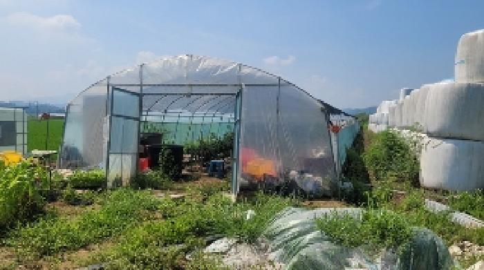 경상남도 함안군 군북면 장지리 1370-1 답 경매 사진 23