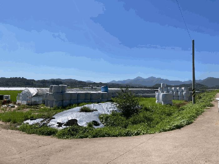 경상남도 함안군 군북면 장지리 1370-1 답 경매 사진 8