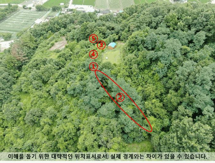 경상남도 의령군 용덕면 가락리 162-3 전 경매 사진 5