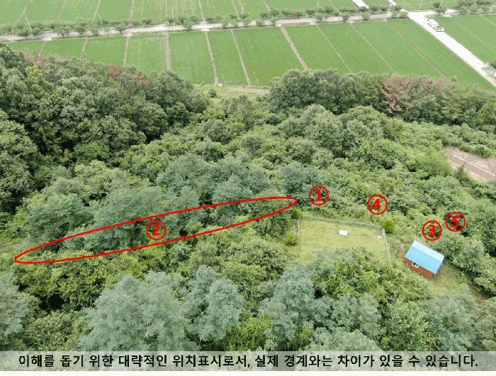 경상남도 의령군 용덕면 가락리 162-3 전 경매 사진 6