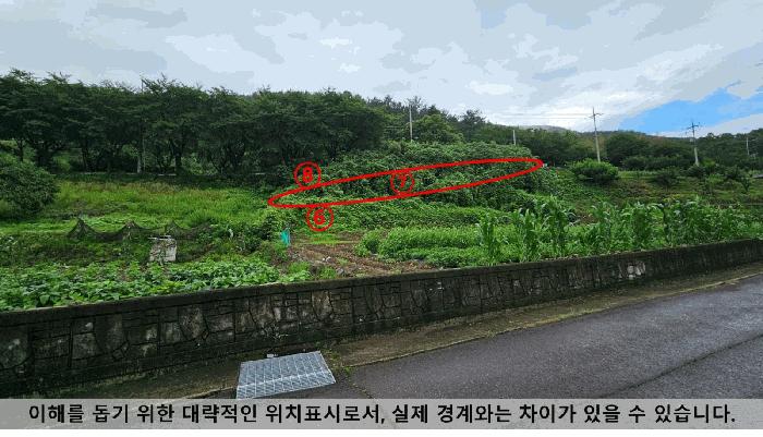 경상남도 의령군 유곡면 세간리 347 임야 경매 사진 1