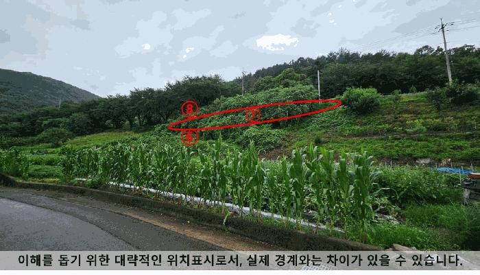 경상남도 의령군 유곡면 세간리 347 임야 경매 사진 11