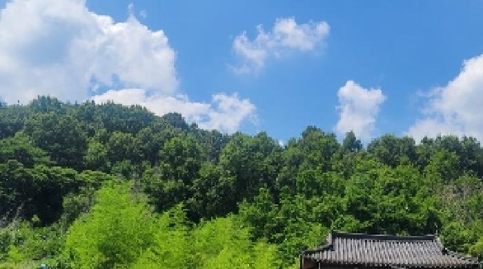 경상남도 의령군 유곡면 세간리 347 임야 경매 사진 13
