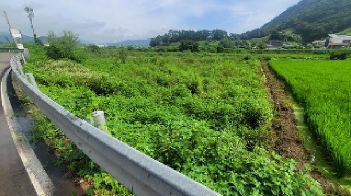 경상남도 함안군 대산면 장암리 864-1 답 경매 사진 5