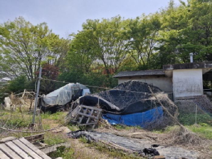 경기도 안산시 단원구 대부동동 294-3 전 경매 사진 16