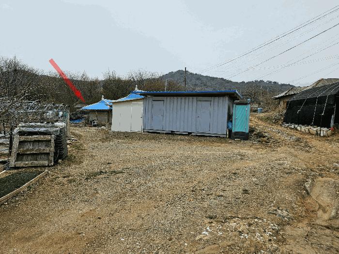 경기도 안산시 단원구 대부동동 294-3 전 경매 사진 4