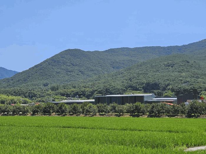 경상북도 청도군 매전면 구촌리 산7 임야 경매 사진 1