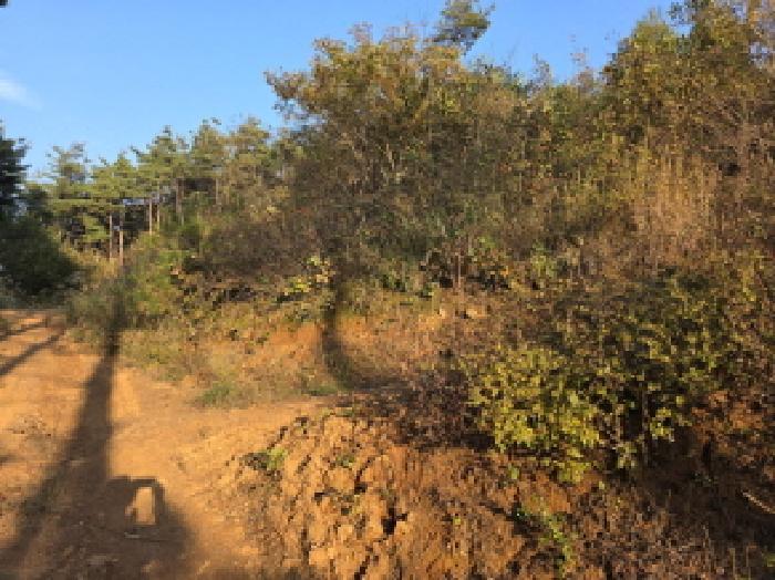 경상북도 청도군 매전면 구촌리 산7 임야 경매 사진 23