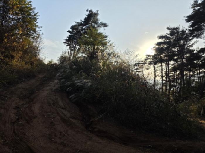 경상북도 청도군 매전면 구촌리 산7 임야 경매 사진 24