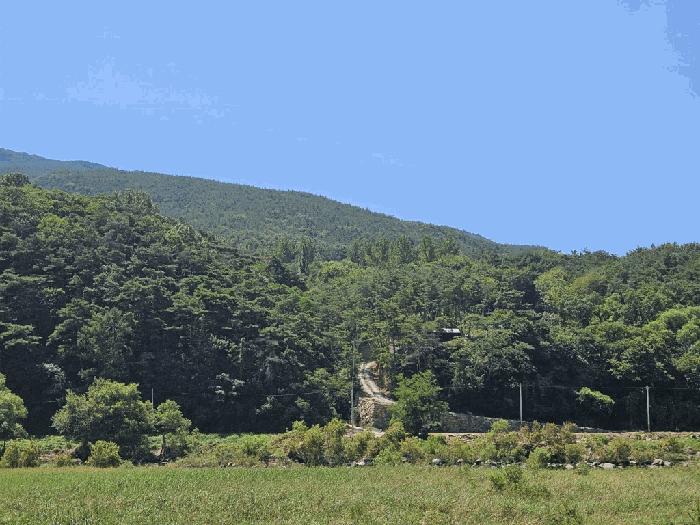 경상북도 청도군 매전면 구촌리 산7 임야 경매 사진 3