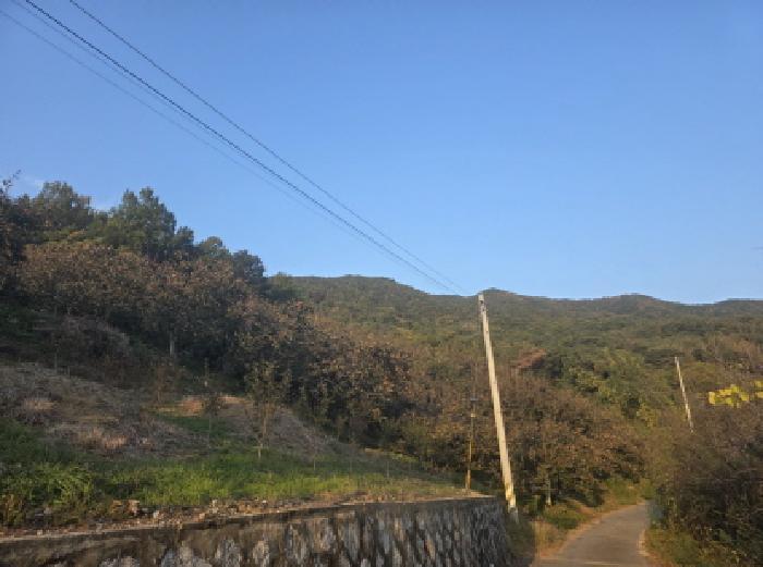 경상북도 청도군 매전면 구촌리 산7 임야 경매 사진 30