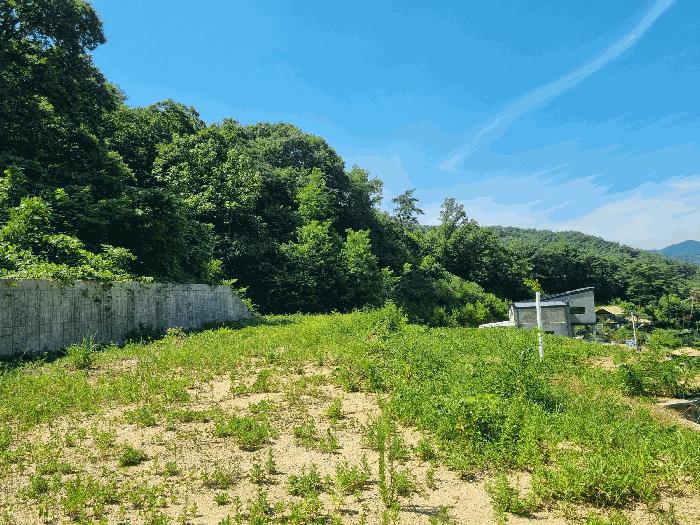 전라남도 장성군 전