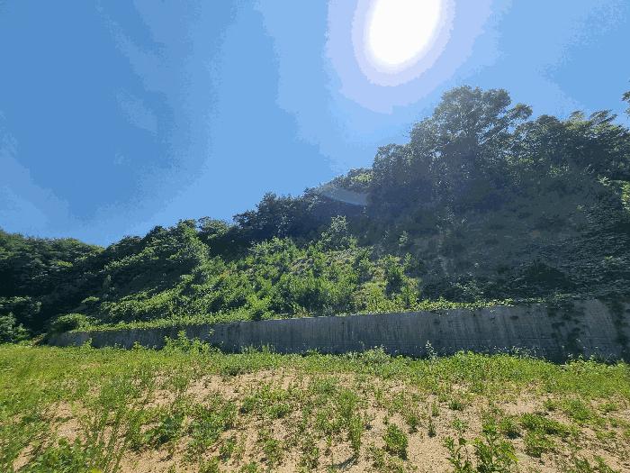 전라남도 장성군 황룡면 아곡리 495-4 전 경매 사진 14