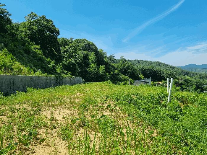전라남도 장성군 황룡면 아곡리 495-4 전 경매 사진 19