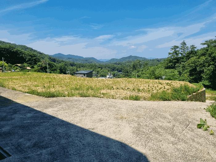 전라남도 장성군 황룡면 아곡리 495-4 전 경매 사진 20