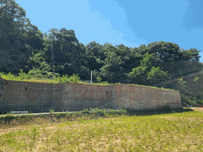 전라남도 장성군 황룡면 아곡리 495-4 전 경매 사진 22