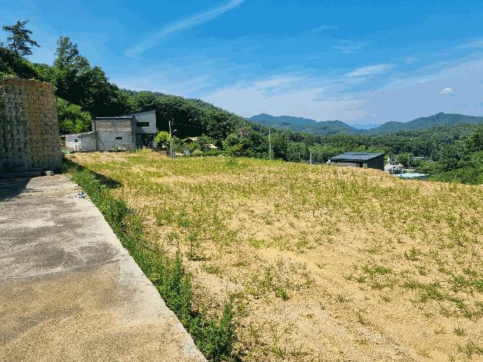 전라남도 장성군 황룡면 아곡리 495-4 전 경매 사진 26
