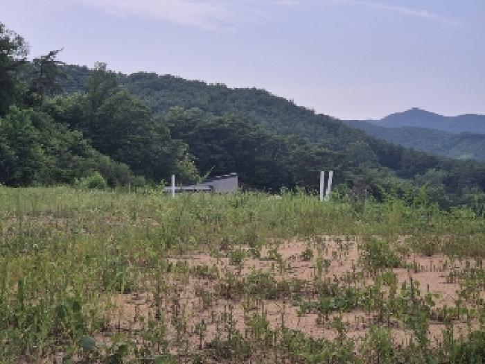 전라남도 장성군 황룡면 아곡리 495-4 전 경매 사진 28