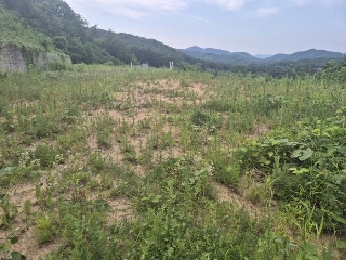 전라남도 장성군 황룡면 아곡리 495-4 전 경매 사진 31