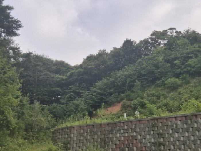 전라남도 장성군 황룡면 아곡리 495-4 전 경매 사진 41
