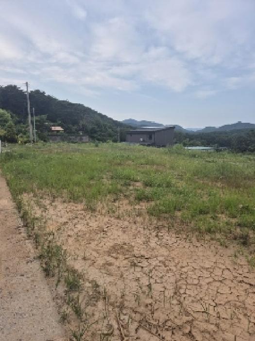 전라남도 장성군 황룡면 아곡리 495-4 전 경매 사진 43