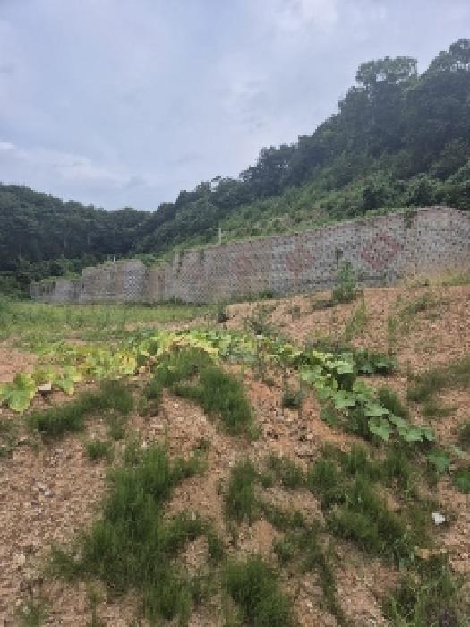전라남도 장성군 황룡면 아곡리 495-4 전 경매 사진 49