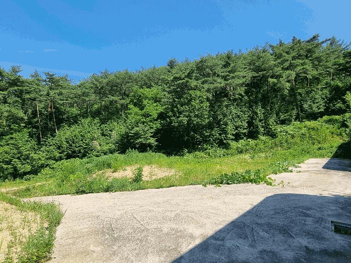 전라남도 장성군 황룡면 아곡리 495-4 전 경매 사진 5