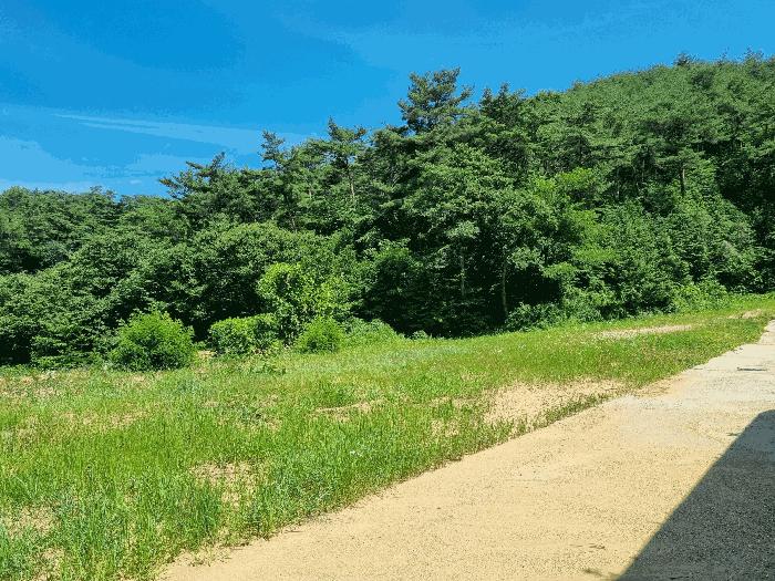 전라남도 장성군 황룡면 아곡리 495-4 전 경매 사진 6