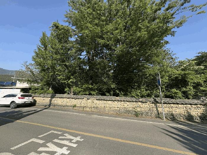 대구광역시 달성군 유가읍 가태리 480 답 경매 사진 4