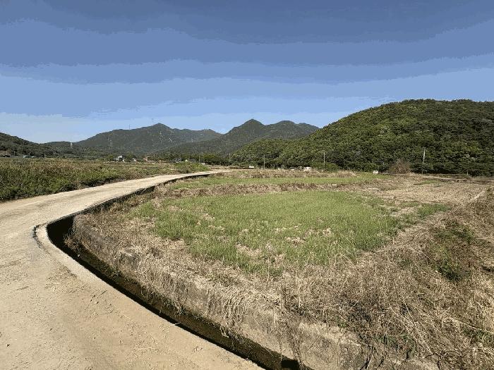 대구광역시 달성군 유가읍 가태리 730-1 답 경매 사진 8