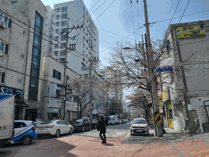 인천광역시 미추홀구 주안동 215-8 창우빌라트2 8층803호 아파트 경매 사진 2