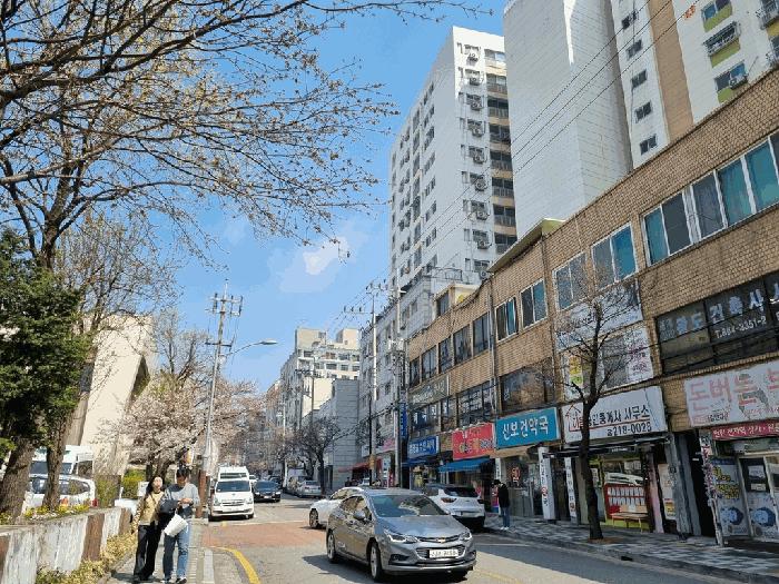 인천광역시 미추홀구 주안동 215-8 창우빌라트2 8층803호 아파트 경매 사진 4